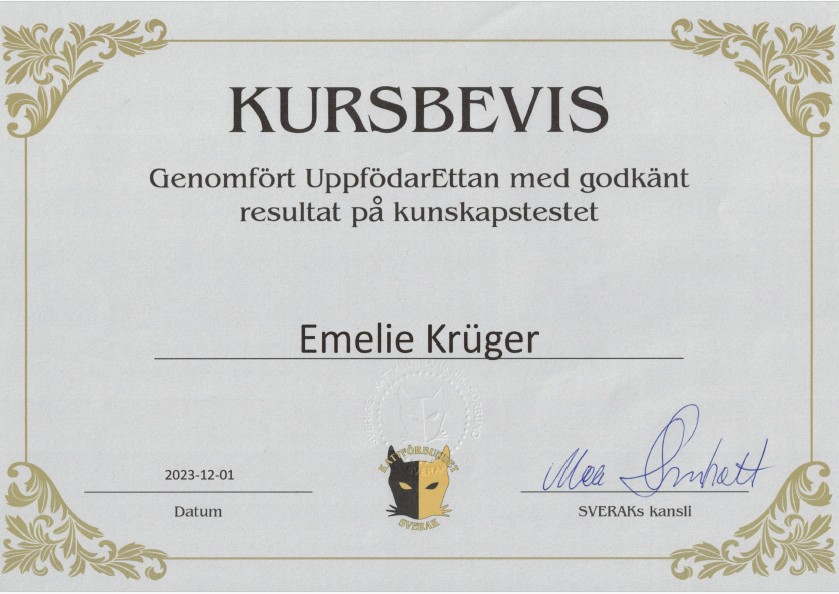 Stamnamnsbevis Cats of Kruger